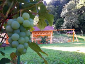 Počitniška hiška Kašta